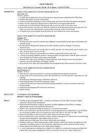 Read this administrative assistant job description sample to better understand the position requirements. Executive Assistant Human Resources Resume Samples Velvet Jobs