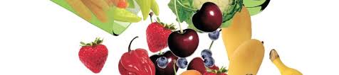 Let food be thy medicine and medicine be thy food. general principles of food as medicine. Food As Medicine Seealternatives Wellness