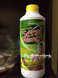 Siapa bilang daun pandan hanya bisa digunakan untuk masak? Cara Halau Semut Lipas Tikus Nyamuk Lalat Dan Serangga Lain Dengan Berkesan Blog Sihatimerahjambu
