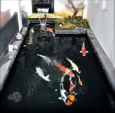 Kolam Ikan Minimalis Kolam Ikan Kolam Taman Indah