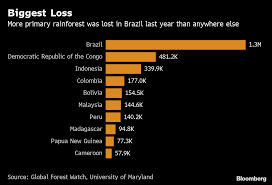 How Much Deforestation In 2018 An Area The Size Of Belgium