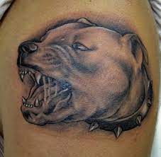 Whether you opt for a portrait tattoo or a representation of your pit bull, a good tattoo artist can do anything you want to properly tattoo your beloved pit bull on your body permanently. The 20 Coolest Pit Bull Tattoo Designs In The World