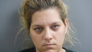 Izard County drug sweep catches ten people