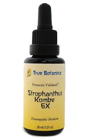 Image result for Strophanthus kombe
