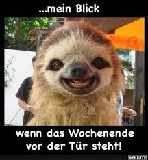 Endlich Freitag Witzig Endlichfreitagwitzig Endlichfreitagwitzig Freitag Freitag Cute Animals Sloths Funny Happy Animals