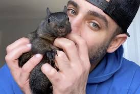 Euthanization of beloved Peanut the Squirrel sparks public outcry