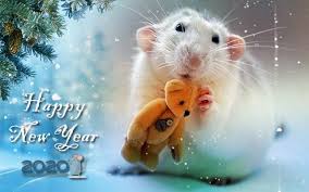 что должно быть на новогоднем столе в год крысы Kartinki Novogodnie 2020 38 Kartinok Naslazhdajtes Yumorom Newyear Happy New Year 2020 Postcard