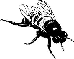 Free Bee Clip Art From The Public Domain Ibytemedia Honey Bee Drawing Bee Images Bee Drawing