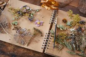 Check spelling or type a new query. Woman Decorating Dried Herbs And Flowers Stockphoto