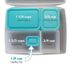 Robot Check Portion Control Meals Meal Prep Lunch Box Bentology