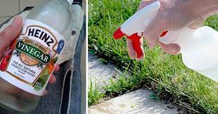 Vinegar and acetic acid can reportedly stain concrete, as well as some types of stone, so do not spray close to driveways, walkways or patios. Ways To Use White Vinegar In The Garden