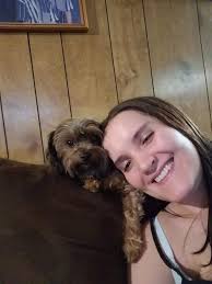 Yorkie missing near 39th and Lee's Summit Road