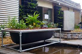 Making A Diy Bathtub Aquaponics System Milkwood Permaculture Courses Skills Stories