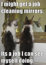 Top 22 Memes Of The Week Cheezburger Users Edition 63 Funny Cat Photos Funny Cats Funny Animals