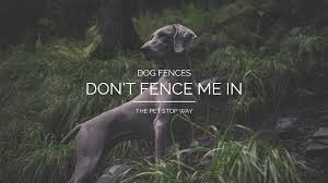 Check spelling or type a new query. Dog Fence Pet Stop Dog Fence Company