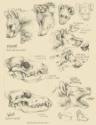 The year of your birth is represented by one of these animals, and according to the chinese zodiac, you will have particular personality traits that resemble your assigned animal. Tumblr