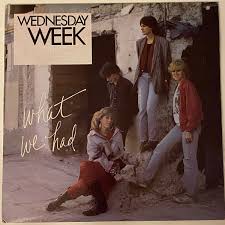 WEDNESDAY WEEK - WHAT WE HAD ORIGINAL 1986 US VINYL PROMO LP ENIGMA VERY  RARE