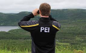 MODERN MILLEE: Adventure is out there, even if you're a chicken (like me!) 