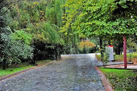 Zonguldak bülent ecevi̇t üni̇versi̇tesi̇ (devlet). Bulent Ecevit Universitesi Muhendislik Fakultesi Home Facebook