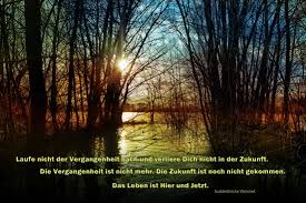 Schöne sprüche in ansprechendem design können die wände im tierlieben haushalt, beim tierarzt oder im stall schmücken. Schone Lizensfreie Bilder Mit Lebensweisheiten Und Zitaten Zum Kostenlosen Download Mjpics Fotografie