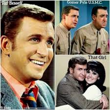 Remembering Ted Bessell who was born