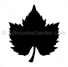 Grape Leaf Silhouette Leaf Silhouette Silhouette Clip Art Grape Leaves