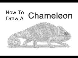 Check spelling or type a new query. How To Draw A Chameleon Youtube