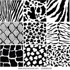 Black And White Images Of Animals Stock Vector Vector Black And White Skin Of Different Animals Animal Skin Skin Textures Black And White