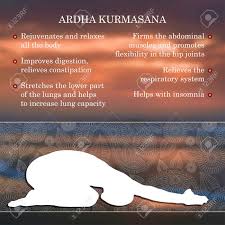 Yoga Pose Infographics Benefits Of Practice Ardha Kurmasana Royalty Free Cliparts Vectors And Stock Illustration Image 54773341