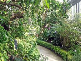 Dennoch bietet der seit 1950 etwa in der jetzigen. Botanischer Garten In Leipzig Leipziginfo De