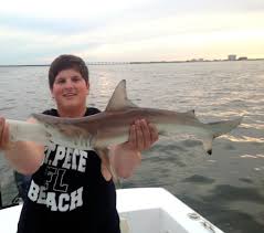 That's what you'll get after a day with capt jojo. Black Tip Shark Picture Of Spanish Sardine Fishing Charter St Petersburg Tripadvisor