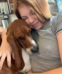 ❤️Life is better with Basset Hound❤️