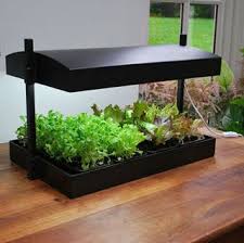 Check spelling or type a new query. Complete Self Watering Grow Light Garden Herb Garden In Kitchen Grow Lights Indoor Garden