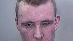 Man used brick to assault ex-partner's brother before biting him