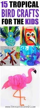 Dense plantation, warm weather, and heavy rainfall are some of their typical characteristics. 15 Tropical Bird Crafts Kids Will Love The Inspiration Edit