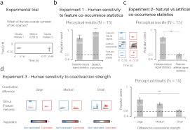 The perceptual process begins when our sensory receptors (eyes, ears, tongue, nose, and skin) come in contact with sensory stimuli (sights, sounds, tastes, odours, and textiles) around us. Ecological Origins Of Perceptual Grouping Principles In The Auditory System Biorxiv
