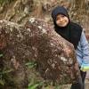 Gunung jerai merupakan destinasi pelancongan tanah tinggi yang utama di mana disenaraikan oleh lembaga penggalakan. 1