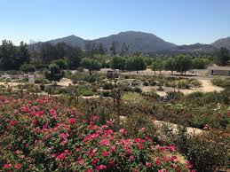 Southern california is one of those places where each area has varying climates. 8 Southern California Gardens To Visit Mccabe S Landscape Construction