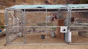 Boonville school to receive free pens to help protect goats from predators 