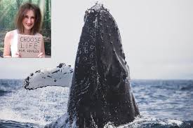 Pamela Styles is fundraising for Whale And Dolphin Conservation