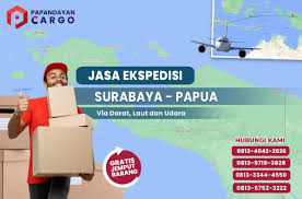 Jasa expedisi kirim barang dari surabaya ke fakfak, kaimana, kota sorong, manokwari, ransiki, kumurkek, anggi, waisai. Ekspedisi Surabaya Papua Terpercaya Papandayan Cargo Surabaya