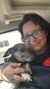 AMAZING UPDATE::: #reunited I just found her , this beautiful lady called  SMita at vista villa found her this morning , it's crazy how my dog walked  almost 3 miles Straight line ,