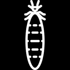 Our termite inspection informs a custom termite treatment plan to help protect your home and help get rid of termites. East Texas Termite And Pest Control Tyler Tx