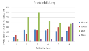 Zmbp Computer Kurs01 04 Excel Diagramme