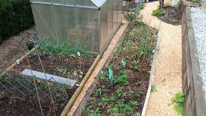 Check spelling or type a new query. Using Dry Wood Shavings In The Garden Caramel Parsley