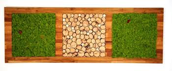 Bestes Selbermoosbild Janbuar 2016 Mooswand Moosbilder Mooswand Wohnzimmer