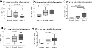 A healthy diet plan for renal diabetics is very useful in kidney related diseases. Renal Expression Of Cytokines And Chemokines In Diabetic Nephropathy Bmc Nephrology Full Text