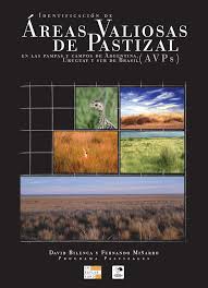 Image result for Rhytachne subgibbosa