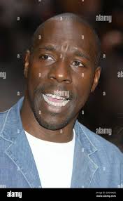 The beadle hi-res stock photography and images