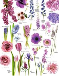 Matrimonial Meg Flower Power Purple Flowers Wedding Flowers Tulips Summer Flowers Purple flowers add richness and depth to any landscape design, be it a formal or informal type. purple flowers wedding flowers tulips